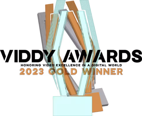 2023 Viddy Gold Award