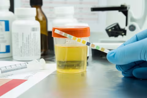 Support for Federal Drug-Free Workplace Program — capabilities image